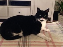 Zombie and Woolly Hugs. ALL very welcome to join us, come and find out about her legacy of Candy’s Hugs.