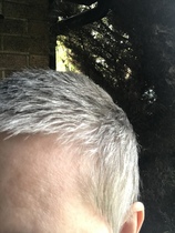 Head shave to go grey