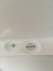Faint positive the next day?
