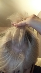 Head shave to go grey