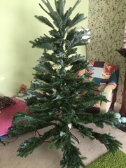 To buy a £300 Christmas tree?
