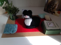 Zombie and Woolly Hugs. ALL very welcome to join us, come and find out about her legacy of Candy’s Hugs.