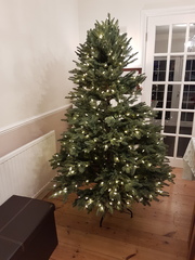 To buy a £300 Christmas tree?