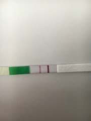 Shouldn’t this look darker?