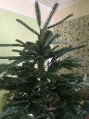 To buy a £300 Christmas tree?