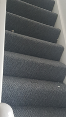 To be devastated with my new carpet