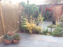 The Landscapers are here, it is better than the arrival of Santa