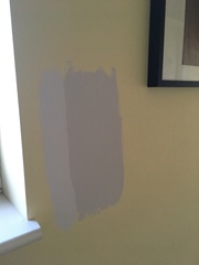 Paint needs to be ordered today and I can’t decide!