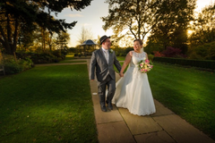 Week 4 - just got to KOKO