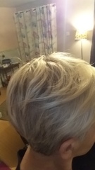 Head shave to go grey