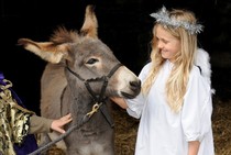 Win a family ticket to 'Oh Dickens! It's Christmas' at Chatsworth