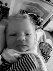 November 2017 #5. You wait ages for a baby, then 3 come along at once. Ante/post-natal chat ...