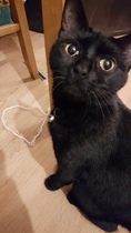 Need some love for my beautiful girl.