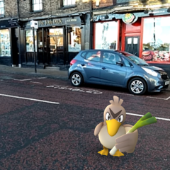 PokemonGo 13: I'm Bayleef, I'm the gardener, I walk from early dawn (to earn candy to evolve to Meganium)