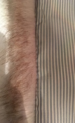 I've just got back from five days in Le Marais, and I've decided I want become Parisian, s'il vous plait.