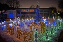 WIN! Family tickets to experience Christmas at Drusillas Park!