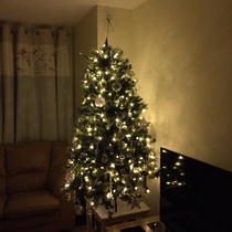 To buy a £300 Christmas tree?