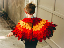 Nativity costume help please- getting the rainbow bird/ Phoenix/ Firebird