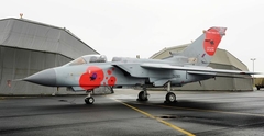 Poppy etiquette for Germans