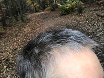 Head shave to go grey