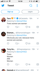 Labour MP Jess Phillips being attacked on Twitter for her reasonable approach to gender bill