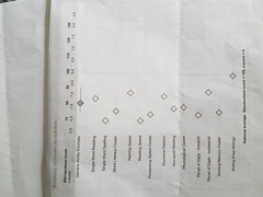 Can anyone interpret these dyslexia screening results please?