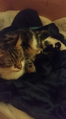 Unexpected birth