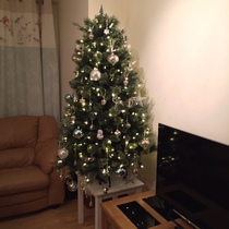 To buy a £300 Christmas tree?