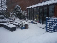 First hints of winter starting?