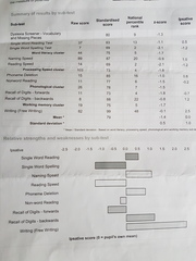 Can anyone interpret these dyslexia screening results please?