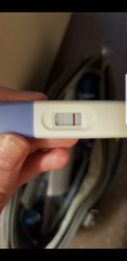Am I pregnant?
