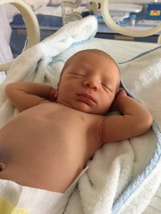 November 2017 #4: Bump botherers, nesting and maternity leave!