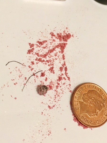 Sharing the Shitness - HOF Advent Calendar SPOILERS