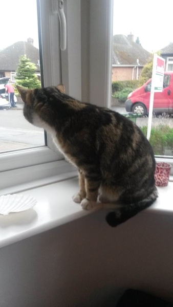 Sharing the Shitness - HOF Advent Calendar SPOILERS