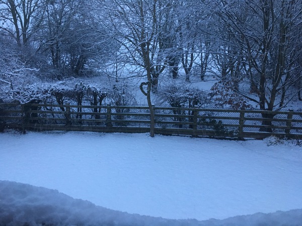 Who's got snow today?