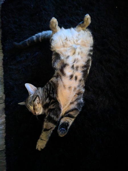 Hissing issue!
