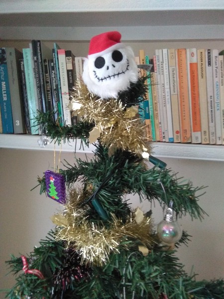 What, if anything, do you have on top of your tree?
