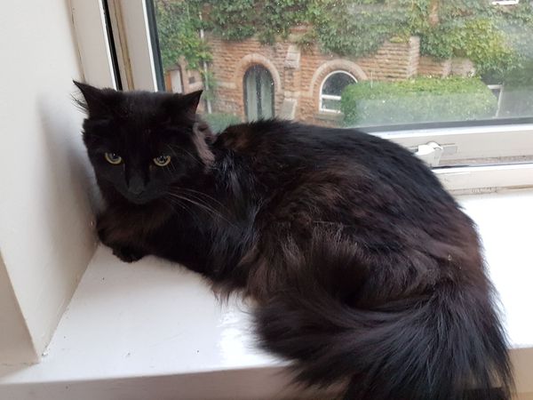 Sharing the Shitness - HOF Advent Calendar SPOILERS