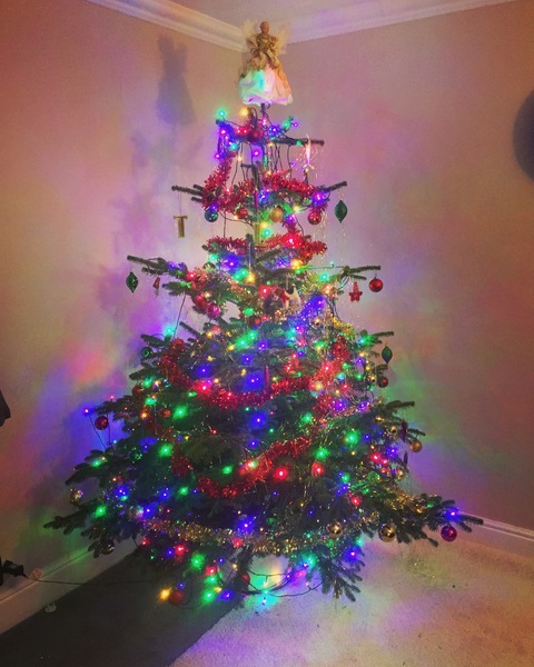 Lets see your trees!
