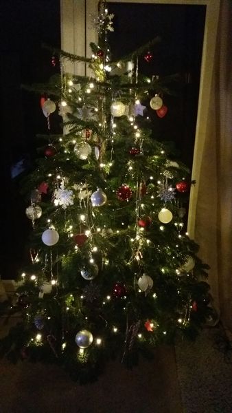 Lets see your trees!