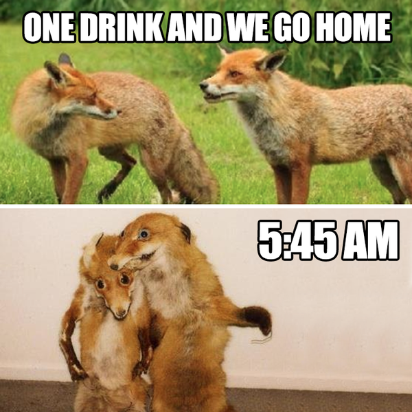 AIBU partner went out and got extremely drunk!