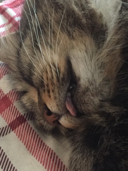 Sharing the Shitness - HOF Advent Calendar SPOILERS