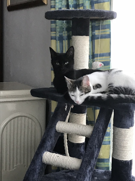 Name suggestions please (with photo)