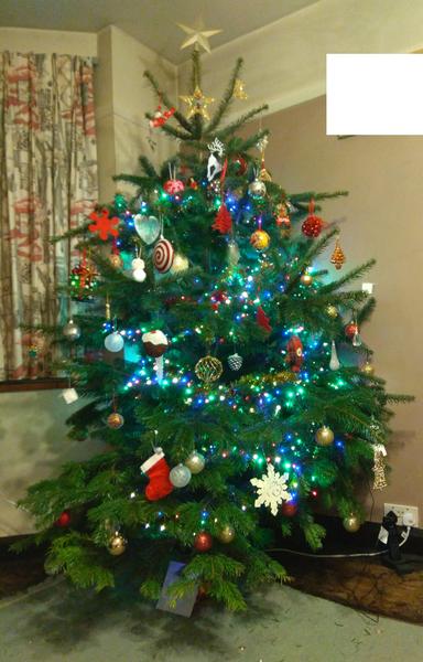 Help solve a debate (Christmas)