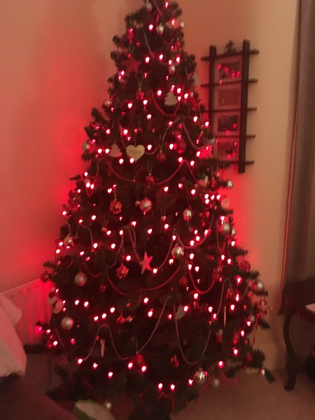 Lets see your trees!