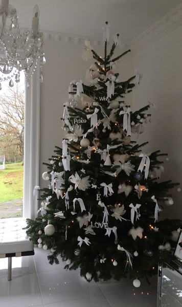 Lets see your trees!