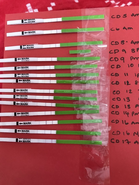Opk this month