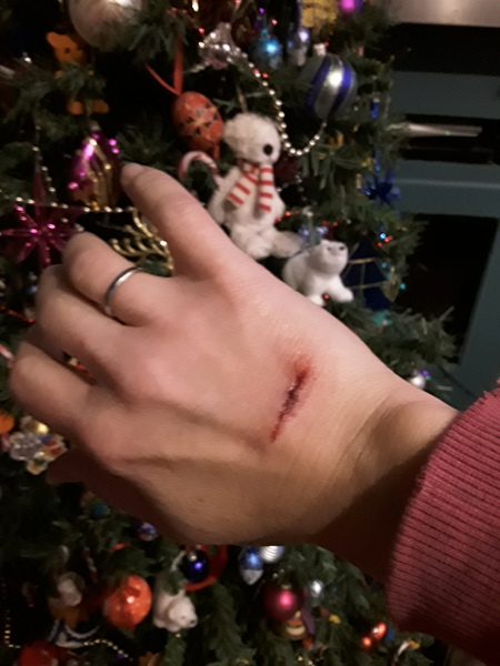 Festive Frugaleers gather round the (best value and carefully researched) Christmas Tree for support, advice and chat. All welcome.