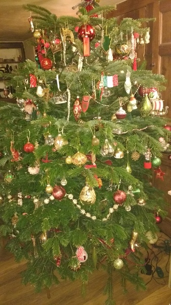 To want a peek at your tree?