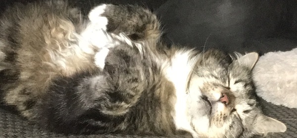 Sharing the Shitness - HOF Advent Calendar SPOILERS